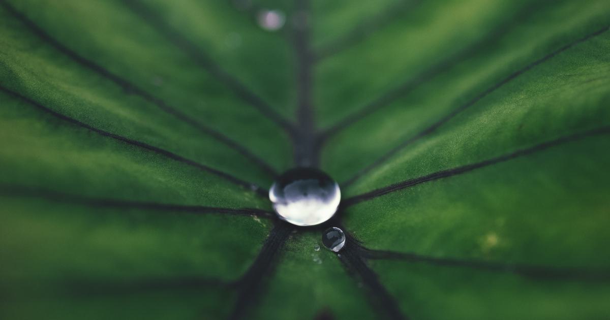 Continuous Monitoring and Adaptation