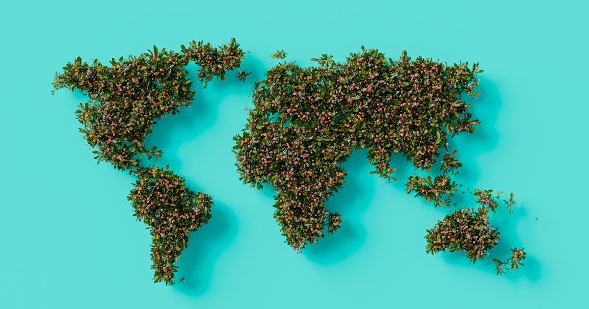 Where Do Hreflang Tags Belong in Global SEO?