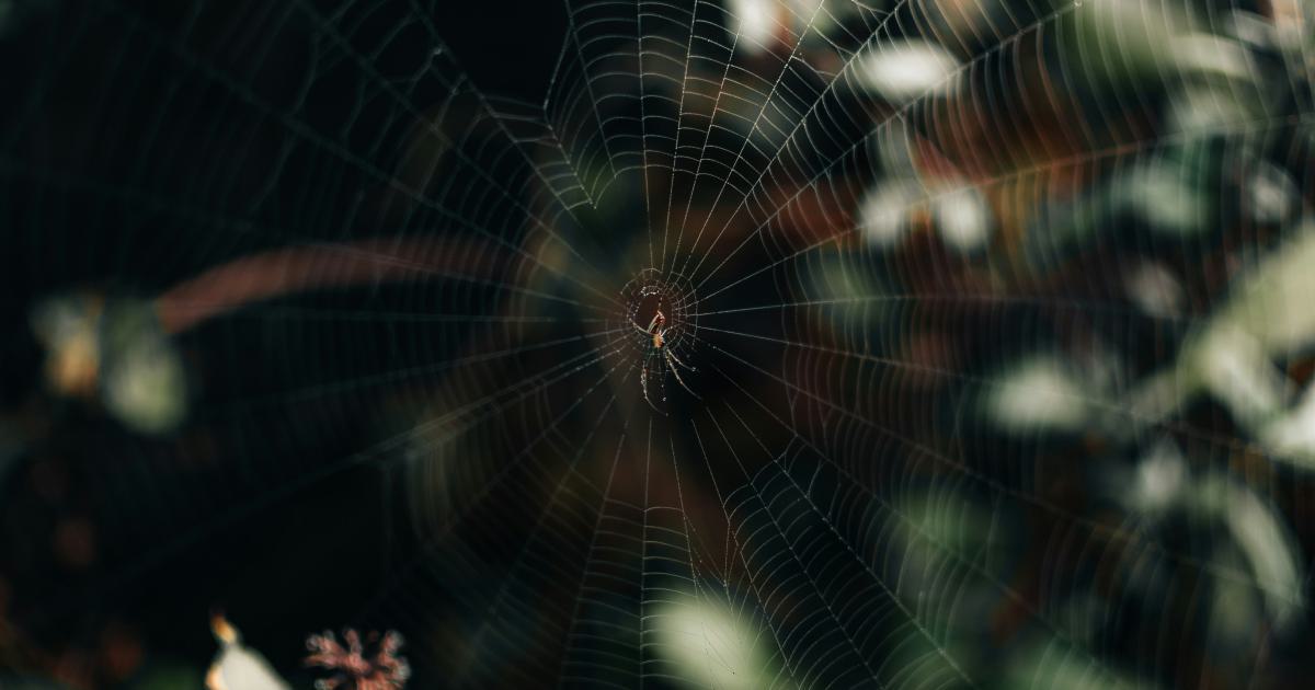 Web Vitals Metrics