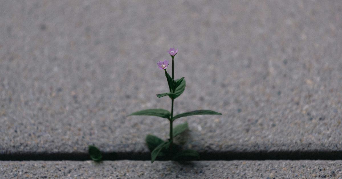 Conclusion - Fueling Growth with Content Governance