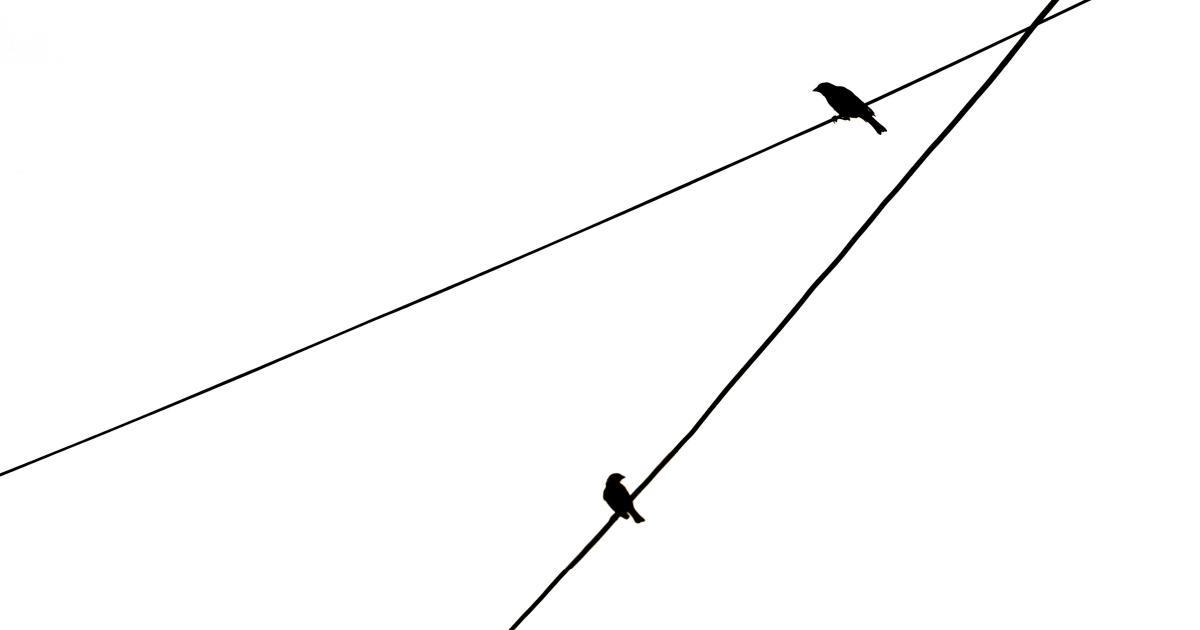 Link Roundup Example