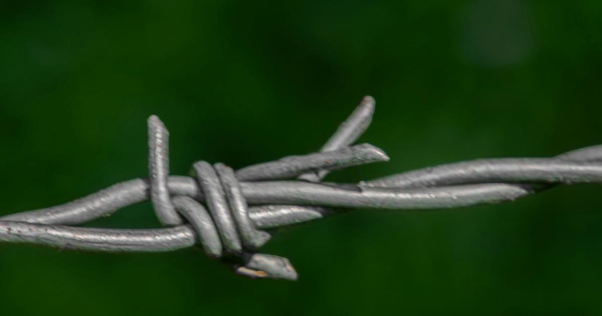 Web Mention Link Building Techniques for Quality Links