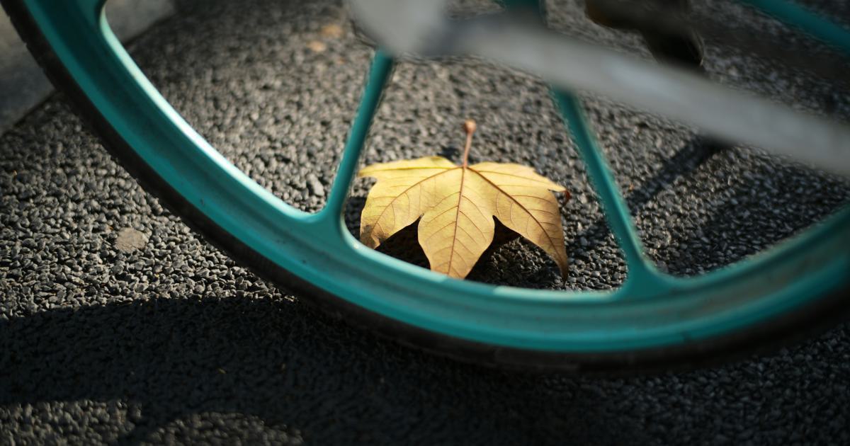Content Repurposing Cycle
