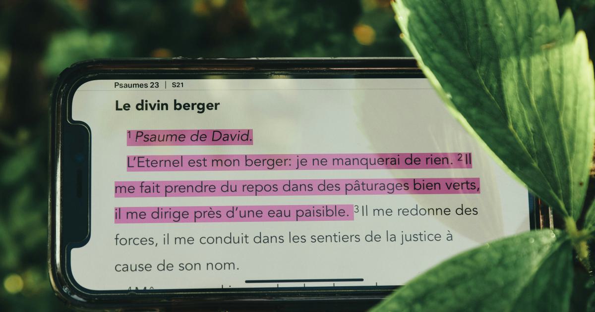 Dialogue in Writing