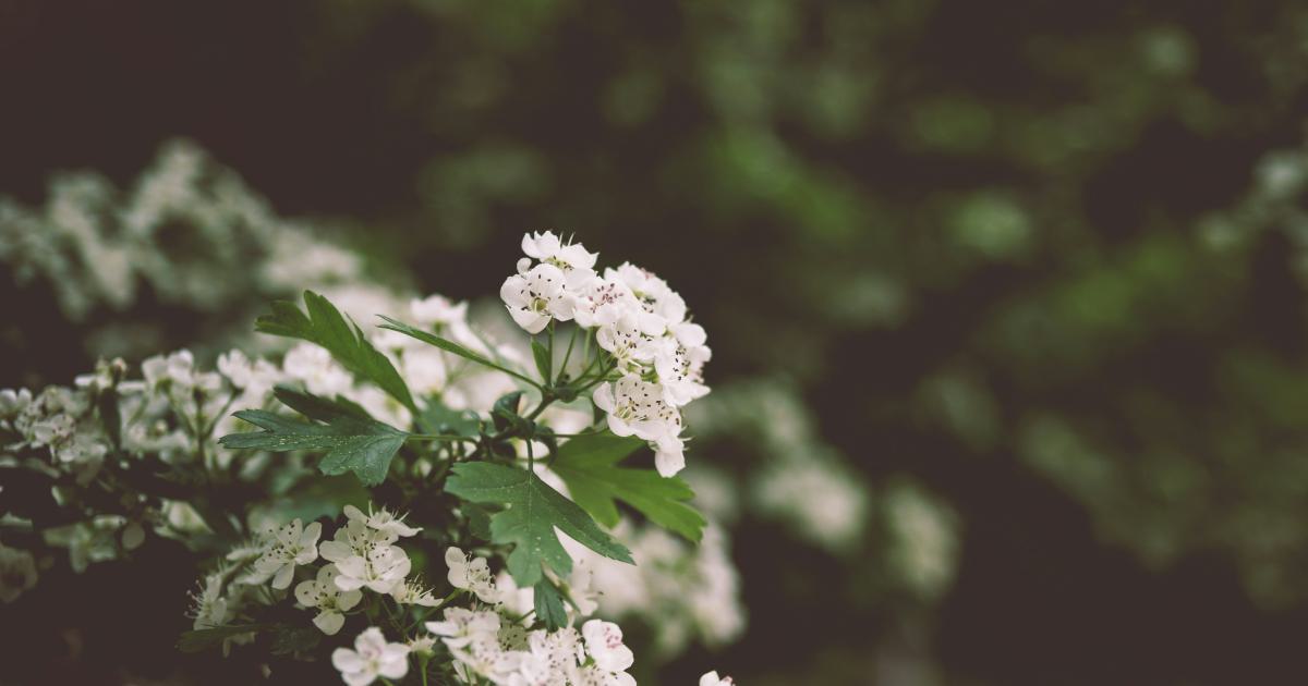 Unforgettable Blog Post