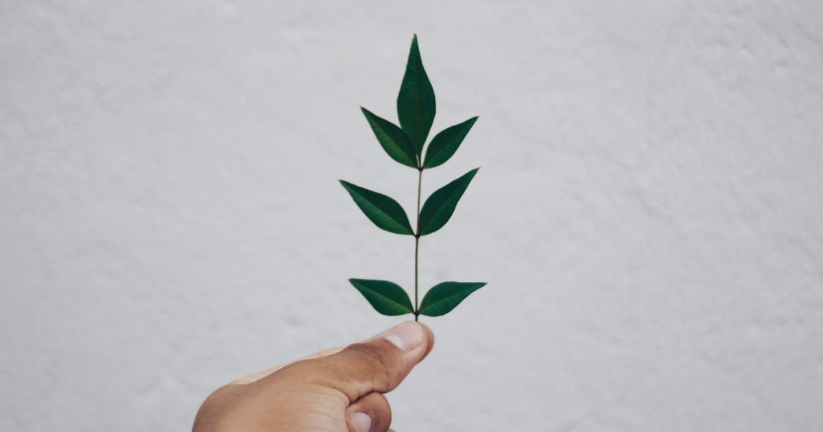 Lead generation metrics