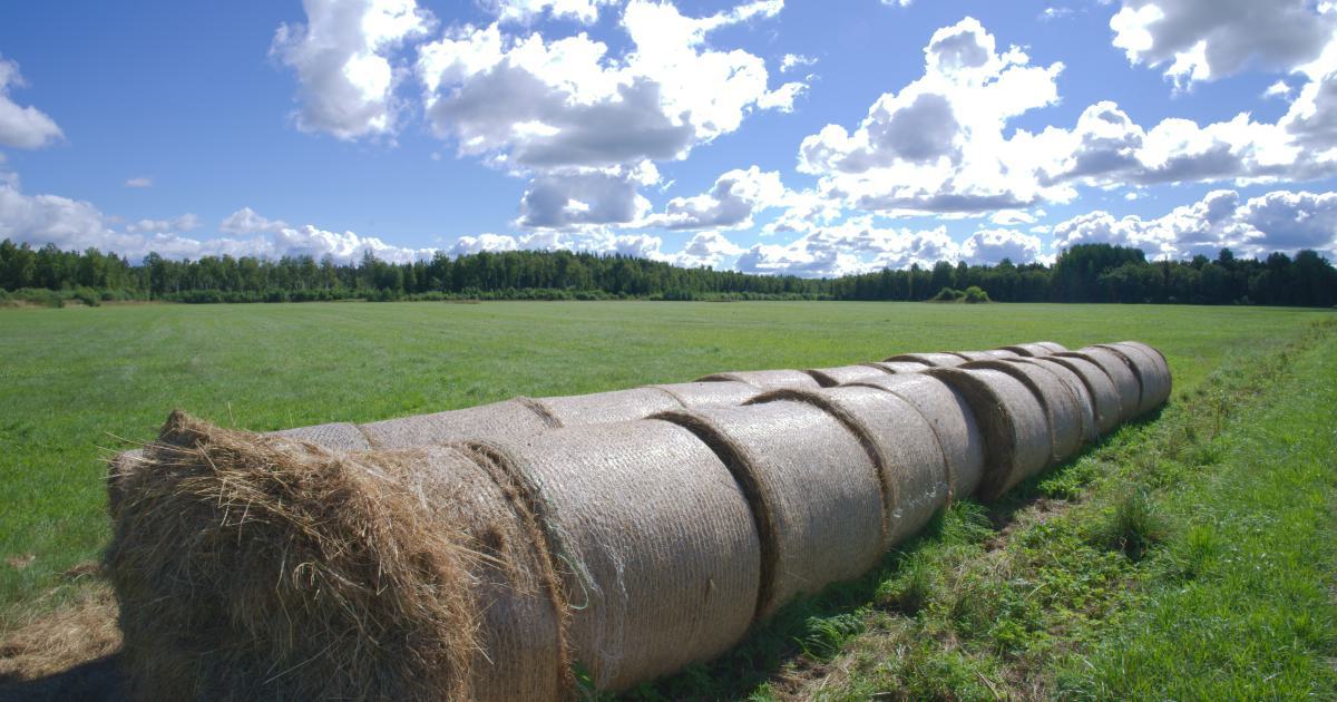 Content Pipeline and Production