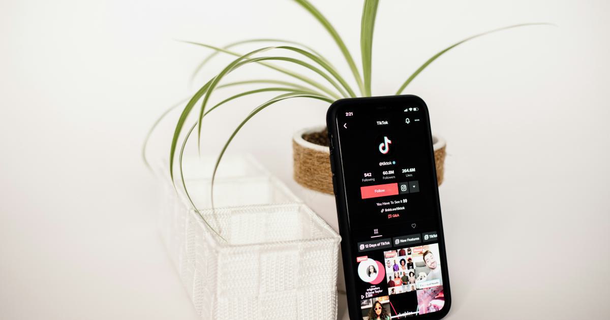 Influencer Collaboration