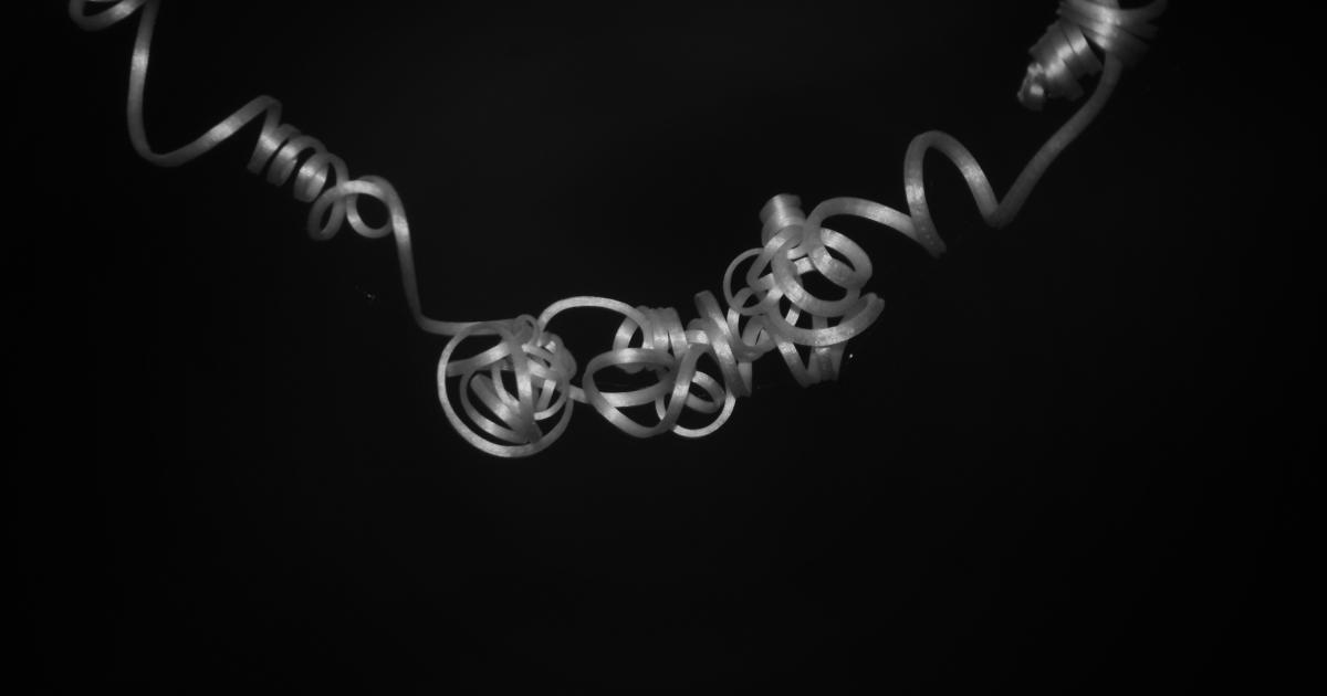 External Linking and Authority