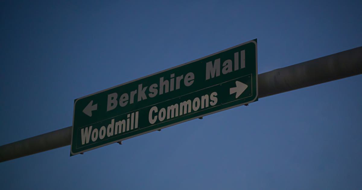 Local Link Pyramids: Neighborhood Link Power