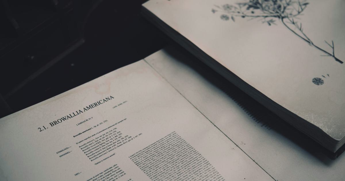 Detailed Research