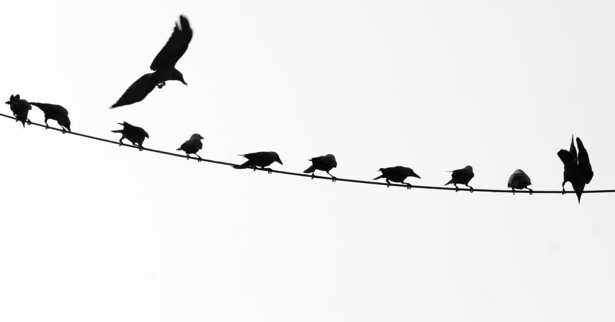 Culture of Curiosity and Continuous Learning