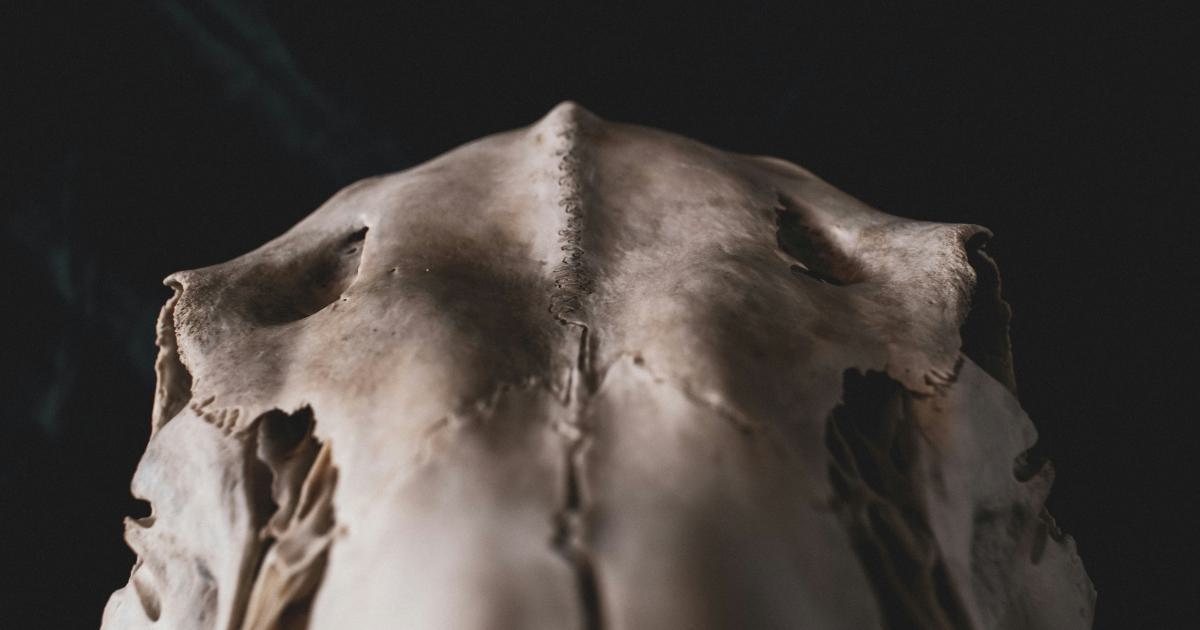 Anatomy of a Title Tag