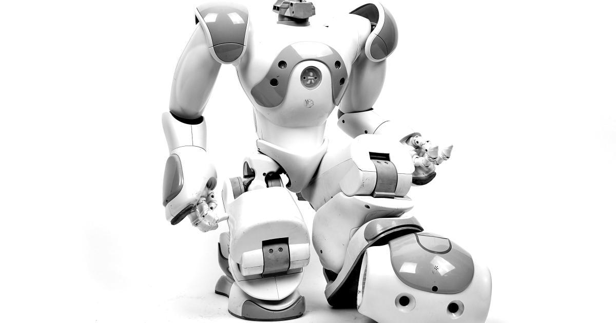 Example Robots.txt File Structure