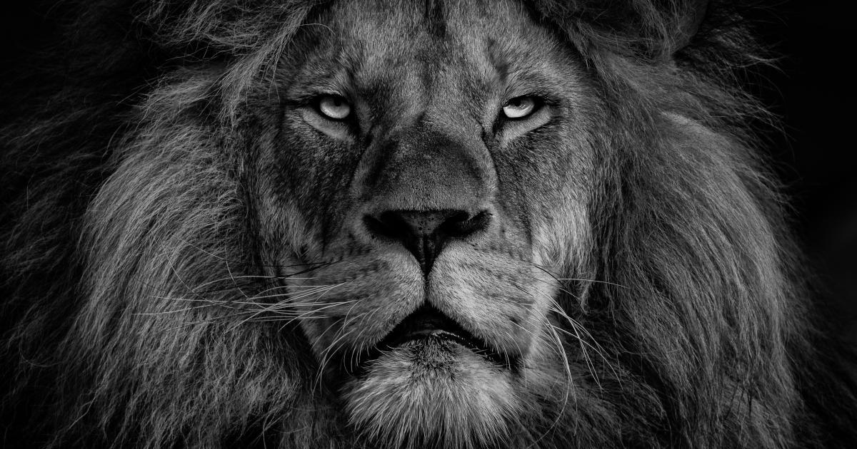 Disrupt Conventional Wisdom