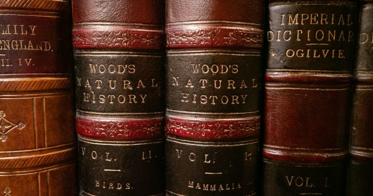 High Authority Local Citation Sources