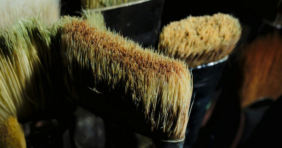 Colorful Paint Brushes