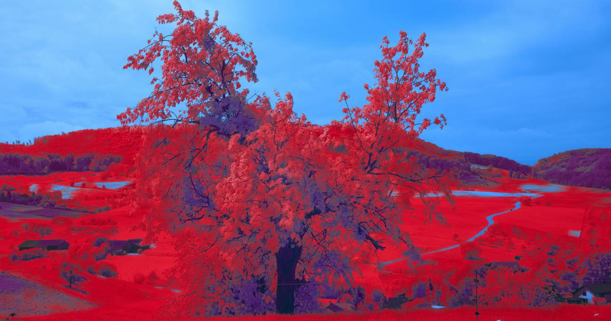 Animated Treemap
