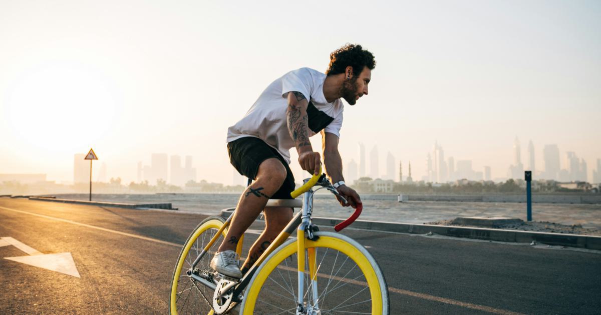 Google Business Profile Optimization Cycle