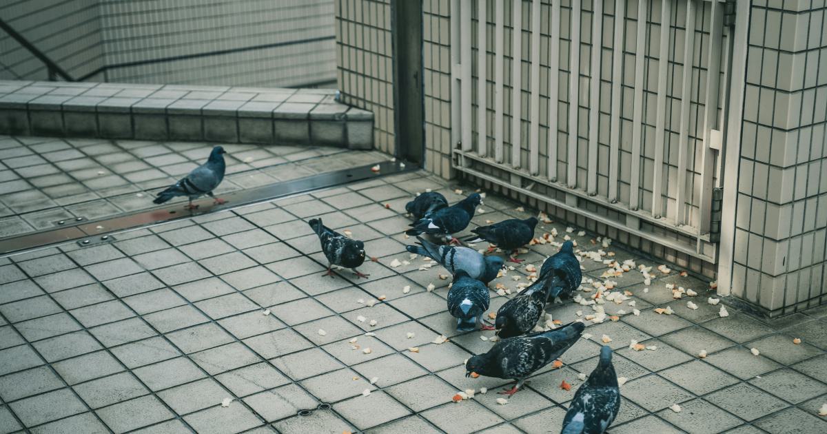 Improving Conversion Rates with User Behavior Segmentation
