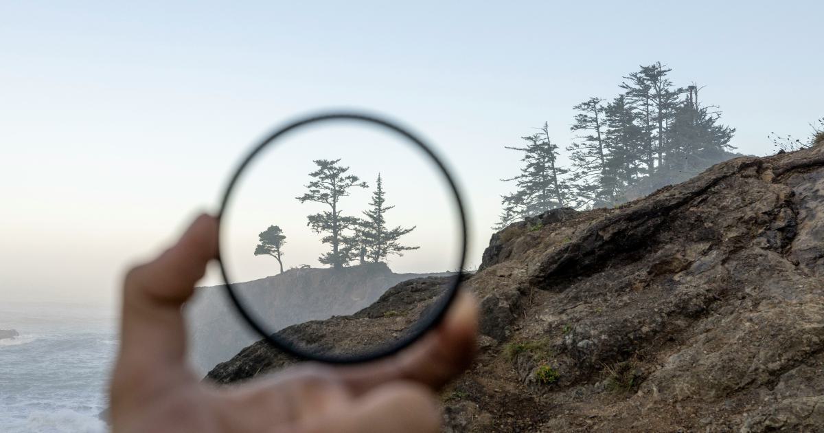 7 Data-Backed Reasons to Prioritize Local SEO Today