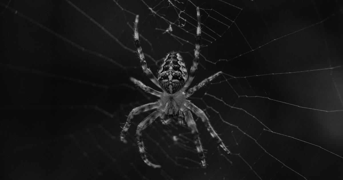 Web Crawler Skipping Unoptimized Resources