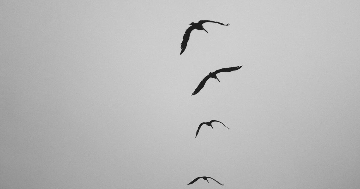 Website Migration Illustration