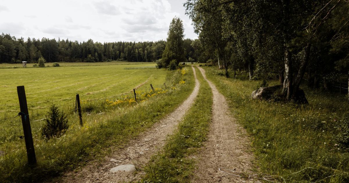The Power of Reclamation: Regaining Lost Backlinks