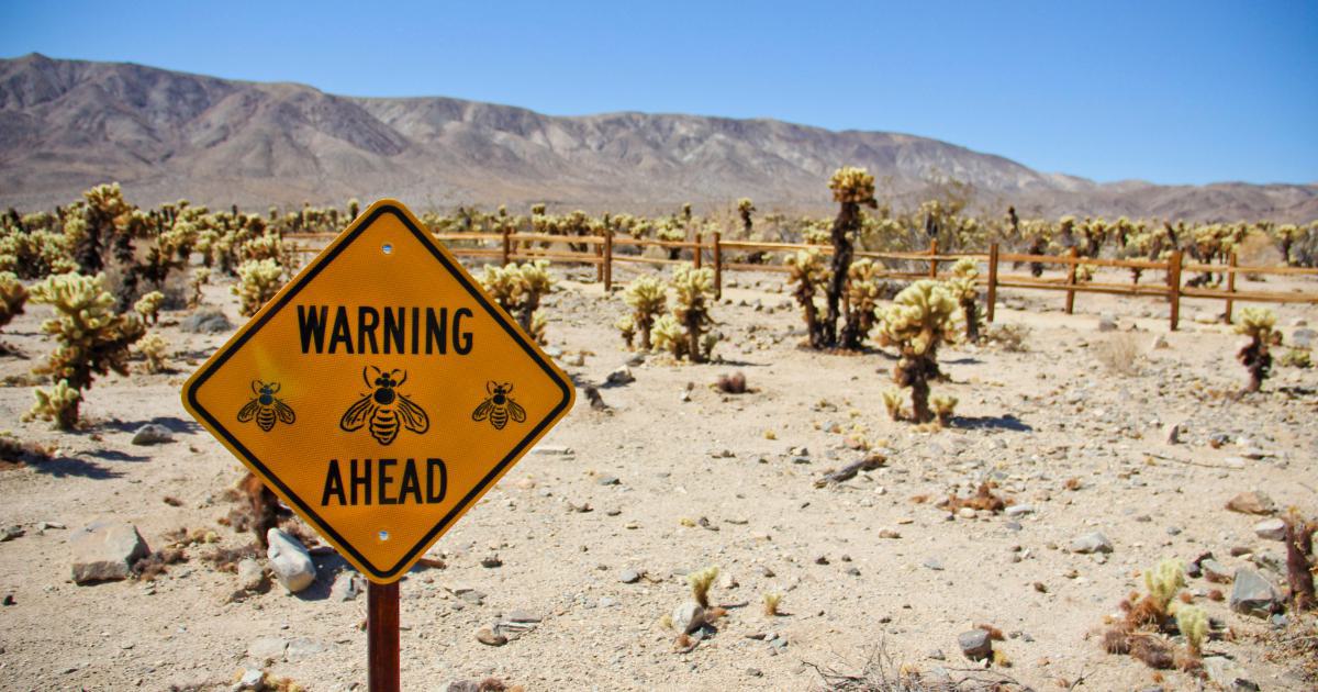 Busting Myths About Resource Prioritization Techniques
