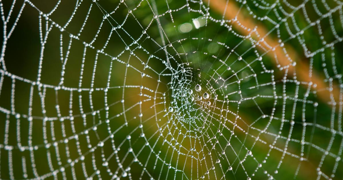 Core Web Vitals Metrics