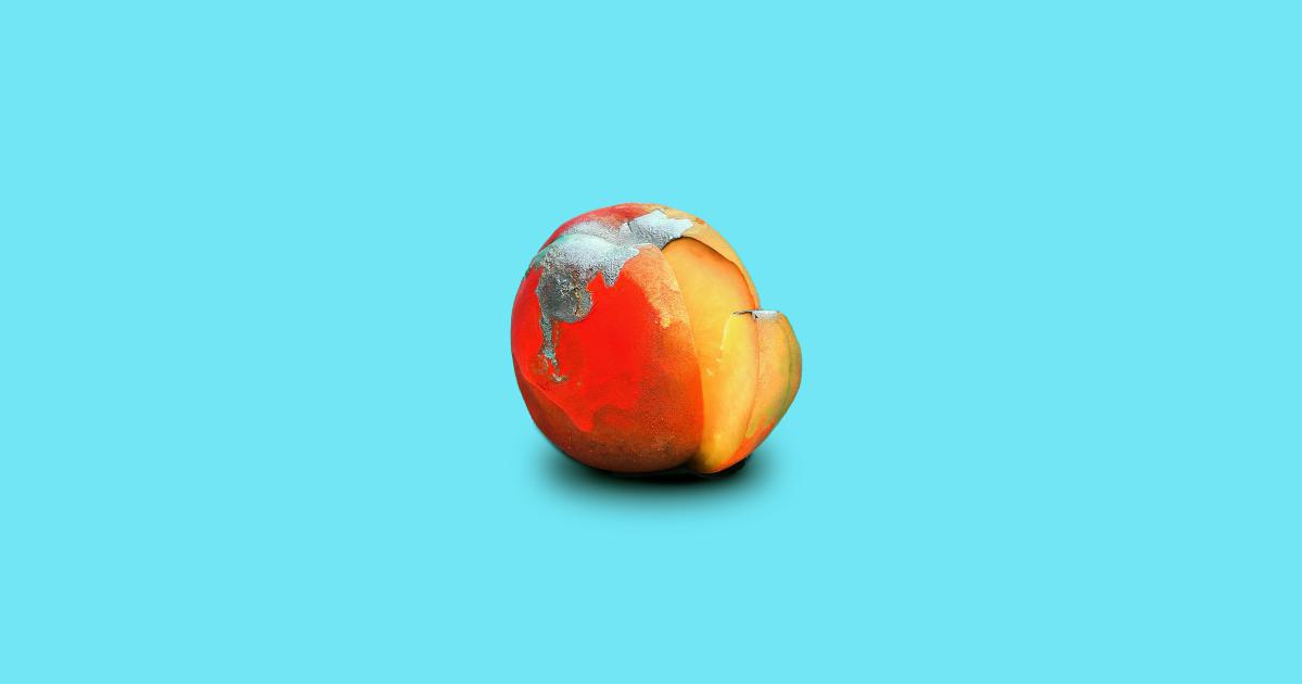 Browser support for WebP