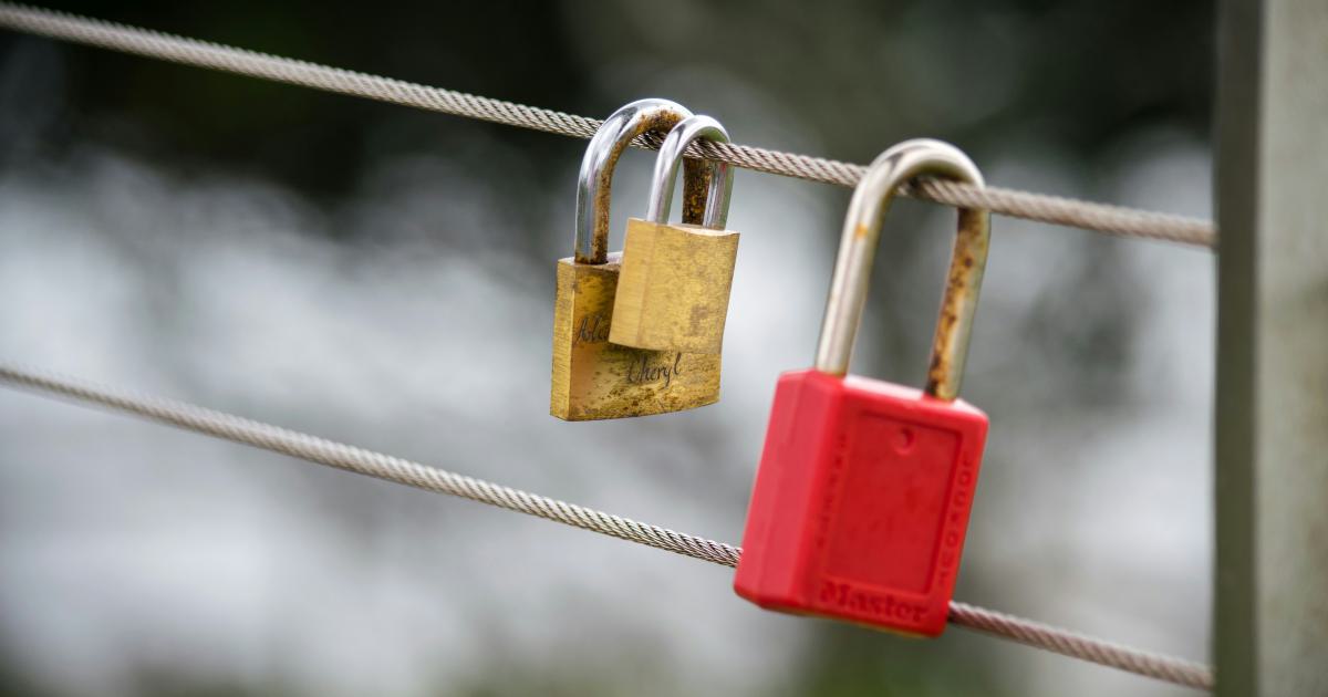 Diagram Showing Privacy and Security Considerations