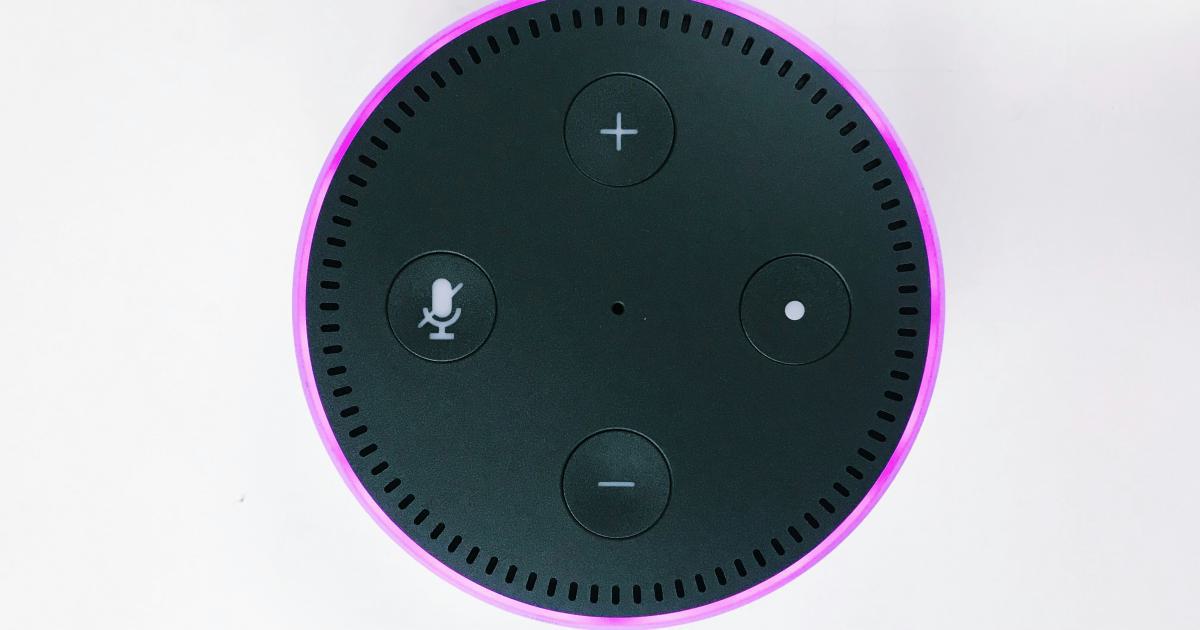Voice Assistant