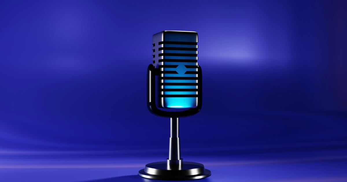 Website Voice Search