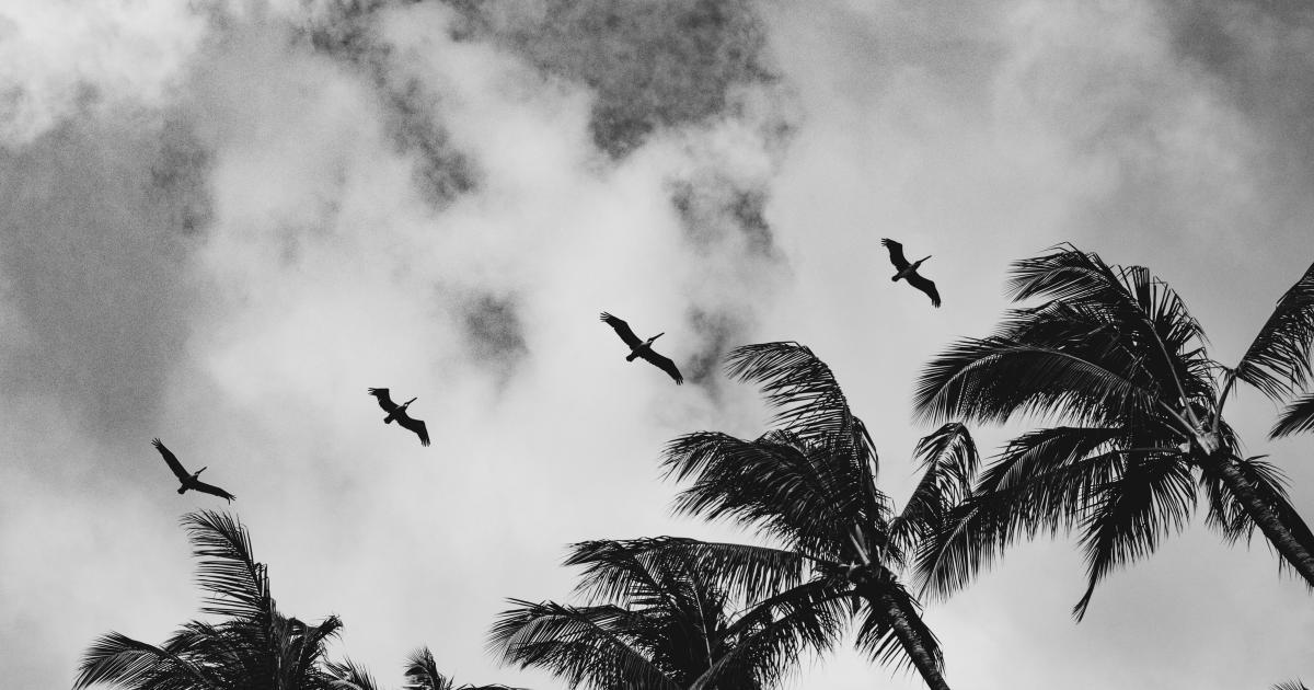 Hover and Hover-Away Patterns