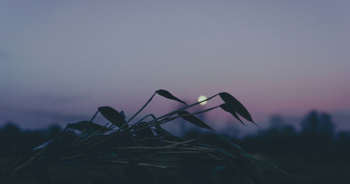 Form Abandonment Triggers