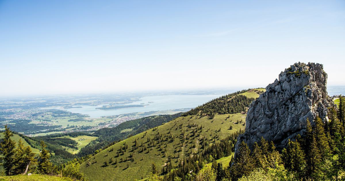 Businessman Climbing Mountain